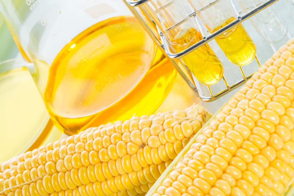 Unpacking the Corn Syrup vs High Fructose Corn Syrup Debate